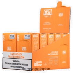 FLUM 日本 - FLUM PEBBLES 6000パフ 10パック 甘美なスイカ 288N6L51