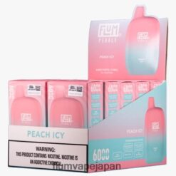 FLUM 日本 - FLUM PEBBLES 6000パフ 10パック 桃氷 288N6L61