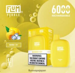 FLUM 電子 煙 - FLUM PEBBLES 6000パフ マンゴーアイス 288N6L53