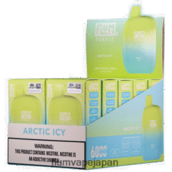 FLUM PEBBLE 日本 購入 - FLUM PEBBLES 6000パフ 10パック 北極の氷 288N6L6