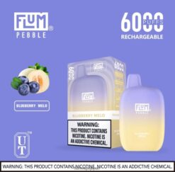 FLUM PEBBLE 日本 購入 - FLUM PEBBLES 6000パフ ブルーベリーメロ 288N6L16