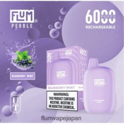 FLUM PEBBLE レビュー - FLUM PEBBLES 6000パフ ブルーベリーミント 288N6L17