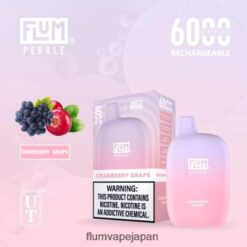 FLUM PEBBLE レビュー - FLUM PEBBLES 6000パフ クランベリーグレープ 288N6L27