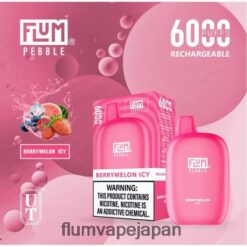 FLUM PEBBLE レビュー - FLUM PEBBLES 6000パフ ベリーメロンアイス 288N6L7