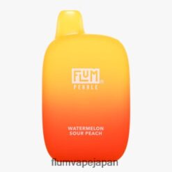 FLUM PEBBLE 日本 購入 - FLUM PEBBLES 6000パフ スイカサワーピーチ 288N6L86