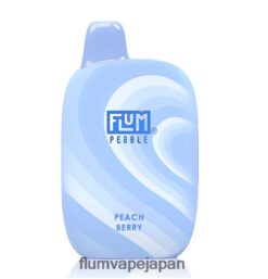 FLUM PEBBLE Flavors - FLUM PEBBLES 6000パフ ピーチベリー 288N6L39