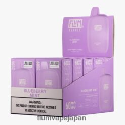 FLUM PEBBLE Japan - FLUM PEBBLES 6000パフ 10パック ブルーベリーミント 288N6L18