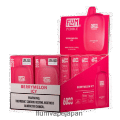 FLUM PEBBLE Japan - FLUM PEBBLES 6000パフ 10パック ベリーメロンアイス 288N6L8