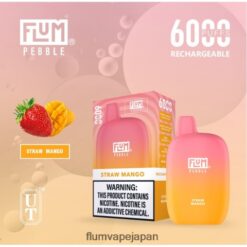 FLUM PEBBLE Japan - FLUM PEBBLES 6000パフ ストローマンゴー 288N6L68