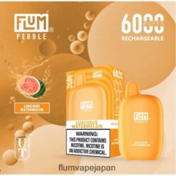 FLUM Vape Japan - FLUM PEBBLES 6000パフ 甘美なスイカ 288N6L50