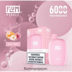 FLUM Vape Japan - FLUM PEBBLES 6000パフ 桃氷 288N6L60