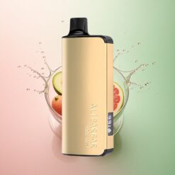 Alibarbar Ingot 9000 Puffs クールミント22ml2350mAh