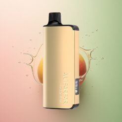 Alibarbar Ingot 9000 Puffs マンゴーマジック 22ml 2350mAh