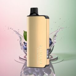 Alibarbar Ingot 9000 Puffs ブルーベリーブラスト2350mAh22ml