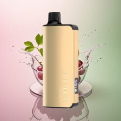 Alibarbar Ingot 9000 Puffs グレープアイス 2350mAh 22ml