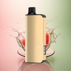 Alibarbar Ingot 9000 Puffs スイカアイス2350mAh